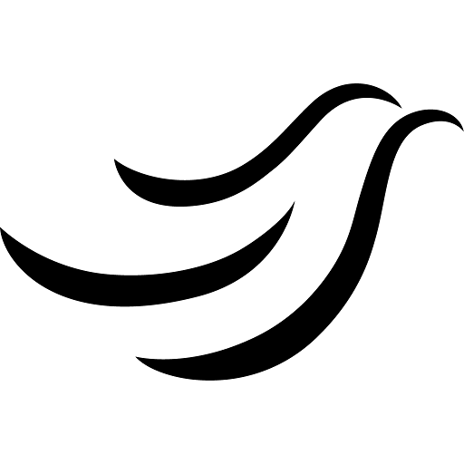 Site Icon